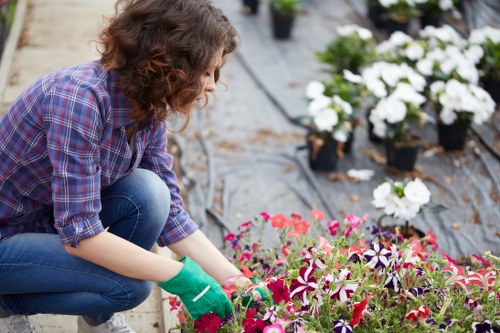 A person wearing a plaid shirt, blue jeans, and green gardening gloves is kneeling in an outdoor garden, tending to a variety of flowering plants in small pots. The garden features a paved path and a mix of soil and mulch beds, with flowering plants displaying shades of pink, purple, and white. The background includes additional pots with white flowering plants, and the scene is illuminated by natural daylight, suggesting clear weather. This setting is typical of a well-maintained backyard garden in Rotherhithe, with an emphasis on planting and outdoor care, aligned with professional gardening and landscaping services offered by Landscapers Rotherhithe.
