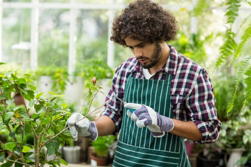 A young man with curly dark hair and a beard is working in a lush greenhouse garden, surrounded by various green plants and shrubs. He is wearing a checked shirt, a green and white striped apron, and gardening gloves while examining a small branch or stem, possibly preparing to plant or prune. The greenhouse environment features translucent panels allowing natural light to illuminate the space, highlighting healthy, vibrant foliage and a variety of leafy plants. The background includes potted plants placed on shelves and the ground, with some hanging green ferns visible. The scene captures an outdoor-inspired gardening activity typical of professional landscaping and planting services in Rotherhithe, emphasizing detailed plant care amid a thriving, well-maintained setting.