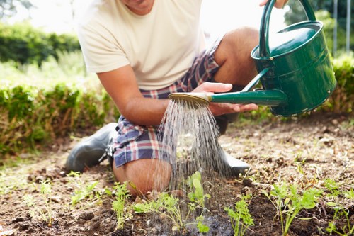 In this outdoor garden scene, a person wearing a cream T-shirt and plaid shorts is kneeling on the soil, watering young green plants with a green watering can. The garden is part of a landscaped yard near Rotherhithe, featuring a well-maintained lawn area with lush grass and a border of small shrubs or hedge-like plants along the background. The soil appears rich and dark, supporting the growth of the delicate seedlings, which are evenly spaced in neat rows. The scene is illuminated by natural daylight with clear weather conditions, suggesting a sunny day ideal for gardening or lawn care activities provided by companies like Landscapers Rotherhithe. This setting exemplifies attentive outdoor maintenance that enhances garden aesthetics and health, with a focus on plant nurturing and soil management, supporting local gardening and landscaping services aimed at improving outdoor spaces in Rotherhithe or surrounding South London areas.