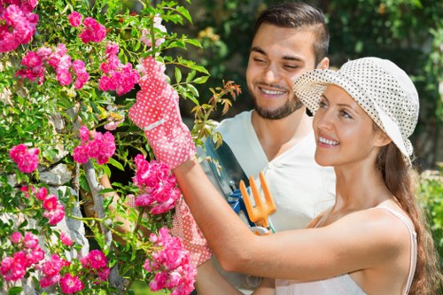 Landscaping complaint review in a garden setting