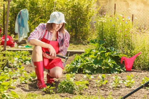A woman in a garden during daytime, wearing a wide-brimmed hat, red rubber boots, and a red apron over casual clothing, kneeling on the soil while tending to young vegetable plants. The garden features neatly arranged rows of leafy greens, with a background of a lush green hedge, flowering plants, and a wooden fence. Gardening tools, including a small trowel and a pink watering can, are visible nearby on the soil. The scene is well-lit with natural sunlight, indicating fair weather, and the garden appears well-maintained, with clear delineation between planting beds, grass areas, and paved paths. The setting reflects a typical outdoor space suitable for gardening services offered by companies like landscapersrotherhithe.co.uk, emphasizing effective planting, soil preparation, and general outdoor maintenance in a suburban or urban garden environment close to Rotherhithe.