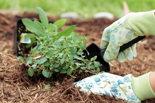 Eco-friendly lawn mowing equipment in action