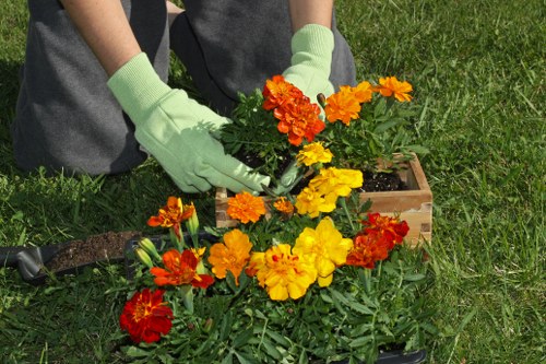 Understanding Rotherhithe's climate for garden maintenance