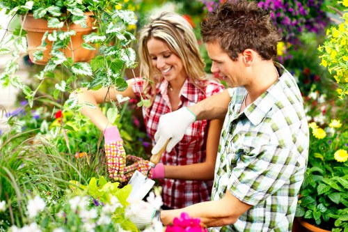 Sustainable gardening practices in an urban Rotherhithe garden