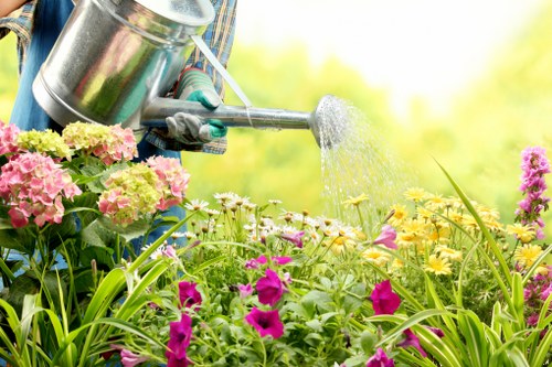 A close-up view of a gardener's hand, wearing a gardening glove, holding a metallic watering can with a long spout, watering a vibrant garden bed in a back garden in Rotherhithe. The flower bed features an array of colorful flowering plants, including pink, purple, and yellow blossoms, with lush green foliage and long, slender leaves. The soil around the plants appears well-maintained and healthy. In the background, bright sunlight filters through trees, creating a lively and inviting outdoor environment. The scene showcases elements typical of professional gardening and landscape maintenance services, emphasizing healthy plant growth and garden care in a suburban outdoor space. This detailed image aligns with services offered by Landscapers Rotherhithe, reflecting their outdoor gardening and lawn care expertise in the local area, supporting accessibility and natural garden beauty in south-east London.