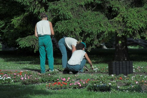 Selection of native plants suitable for Rotherhithe's climate
