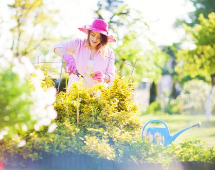 In the image, a woman in a pink sunhat and gardening gloves is tending to a lush garden during daytime, with sunlight filtering through green trees in the background. She is leaning over a raised flower bed, which contains bright yellow and white flowering plants and dense green foliage. The garden features a well-maintained lawn with rich, healthy grass that surrounds the flower bed area. A blue watering can is positioned nearby on the grass, indicating ongoing gardening work. The scene captures a clean, organized outdoor space typical of residential gardens in Rotherhithe, with natural tones of green, yellow, and soft pinks, highlighting the natural beauty and maintenance of the garden. The weather appears clear and sunny, casting light that enhances the vibrant colours of the plants and the environment, reflecting professional gardening and landscaping standards. This setting aligns with landscaping services provided by companies like Landscapers Rotherhithe, supporting garden care and outdoor maintenance in the local area.