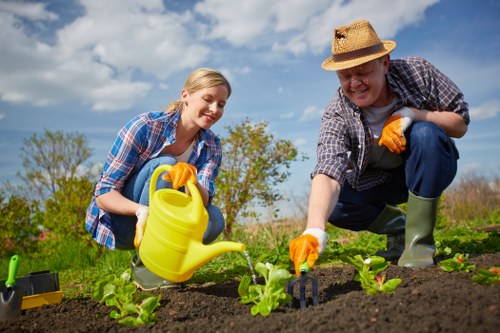 A gardener and a young woman are working together in a landscaped outdoor garden space in Rotherhithe, with a clear blue sky overhead. The foreground features dark, well-tilled soil where they are planting small green leafy vegetables or flowers, using small hand tools. Behind them, there are neatly maintained grassy areas and low hedge borders framing the garden. In the background, a few trees with sparse foliage are visible, suggesting early spring or late autumn. The gardener is wearing a straw hat, a checked shirt, grey gardening gloves, and rubber boots, while the young woman is dressed in a plaid shirt and gloves, both appearing engaged and cheerful as they tend to the garden. Sunlight illuminates the scene, highlighting the vibrant green of the plants and the natural earthy tones of the soil, creating a fresh and inviting outdoor environment suitable for gardening and landscaping services.