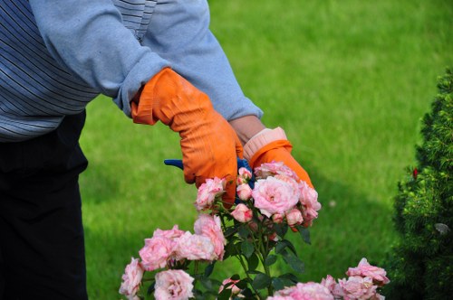 Essential tools for effective garden maintenance