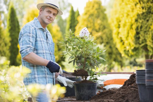 The image depicts a man working outdoors in a garden in Rotherhithe, wearing a straw hat, light blue checkered shirt, and gardening gloves, tending to a potted plant with white flowers, possibly a young shrub or flowering plant. He is holding a small gardening trowel and appears to be planting or transplanting the plant into the soil, which is prepared in a garden bed behind him. The garden area features a neatly maintained lawn with dense, vibrant green grass in the foreground, and a background of tall, leafy trees with bright yellow and green foliage, indicating a warm season and good weather conditions. There are several empty black plant pots stacked to the side, suggesting ongoing planting activity. The overall scene demonstrates a well-organized outdoor space suitable for gardening or landscape enhancement, aligning with professional gardening and landscaping services provided by Landscapers Rotherhithe, with natural tones and a focus on plant care and garden layout in a residential or community setting near the Thames area.