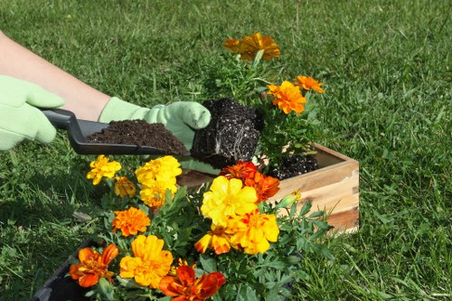Selection of plants suitable for Rotherhithe gardens