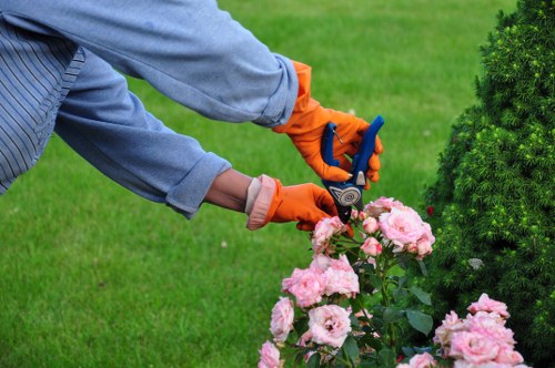 A gardener wearing grey sleeves and bright orange gloves is pruning a flowering shrub with a small handheld secateurs tool in a well-maintained garden. The garden features a lush, green lawn with dense grass and neatly edged flower beds that contain pink roses and other flowering plants. To the right, a tall, evergreen shrub provides a natural backdrop, and the overall scene is set outdoors in daytime with natural light illuminating the garden's textures and colours. The background shows more greenery, indicating a spacious, landscaped yard that aligns with sustainable gardening practices promoted by Landscapers Rotherhithe, supporting gardening and outdoor maintenance services in the local area around postcode SE16.