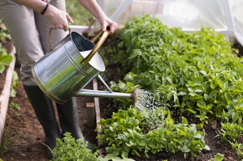 Professional Garden Clearance Team in Rotherhithe