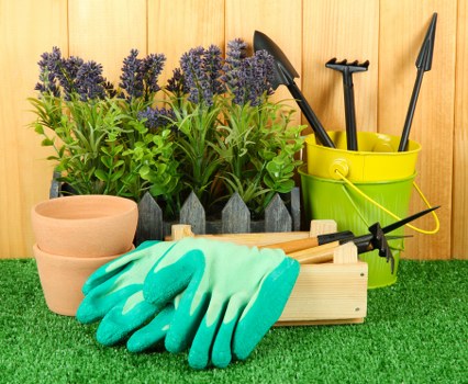 Eco-friendly Garden Clearance in Rotherhithe