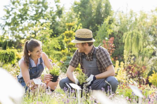 In a well-maintained garden, a young woman and a man are kneeling among a variety of flowering plants, engaging in gardening activities. The garden features a lush, green lawn with dense, healthy grass in the foreground, bordered by colorful flower beds and low-growing shrubs. The background includes mature trees with dense foliage, providing partial shade and a natural backdrop typical of outdoor spaces in Rotherhithe. The woman, dressed in casual gardening attire, is holding a small potted plant, while the man, wearing gardening gloves and a checkered shirt with an apron, is tending to the plants beside her. Paving stones or gravel pathways are visible, complementing the garden's structured layout, and hints of garden tools are present, indicating active gardening work. The lighting suggests a bright, sunny day with clear skies, which highlights the natural greens, floral colors, and earthy tones of the garden. Such outdoor spaces are often serviced by professionals like Landscapers Rotherhithe for lawn care, planting, and landscape design, ensuring a vibrant, healthy garden environment that enhances outdoor living and aesthetic appeal in the local area.