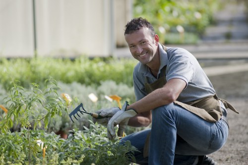 A smiling man wearing a grey shirt and work apron is kneeling in a lush garden, tending to a variety of green plants and flowers, which include yellow blooms, in a gravel area near a wooden fence. The background shows a well-maintained lawn and a hedge, with the setting appearing bright and sunny, indicative of clear weather. The garden features a mix of planted flower beds and gravel pathways, with natural tones of green, yellow, and brown dominating the scene. The man is holding a small garden rake and appears engaged in outdoor gardening activities, representing professional gardening and landscaping services in the Rotherhithe area. The environment illustrates a neat, cultivated outdoor space designed for leisure and aesthetic appeal, reflecting the expertise of local landscapers such as Landscapers Rotherhithe in maintaining vibrant and healthy gardens.