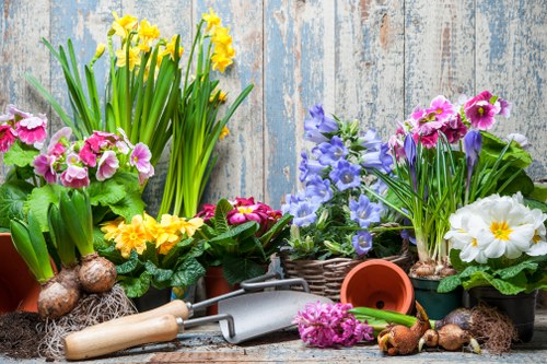 A close-up view of a variety of flowering plants and gardening tools arranged on a weathered wooden surface, with a rustic blue-painted wooden background. The display includes vibrant yellow daffodils in terracotta pots, pink and purple primroses in wicker baskets, and white primroses with yellow centers. Some small bulbs with shoots are also visible among the plants. Gardening tools such as a hand trowel, a small pruned branch, and parts of gardening gloves are scattered in the foreground, adding to the gardening theme. The scene captures a well-maintained outdoor space suitable for planting and landscaping activities, with natural daylight illuminating the arrangement, emphasizing the bright, natural tones of the flowers, soil, and tools, indicative of a gardening project in progress or ready for planting.