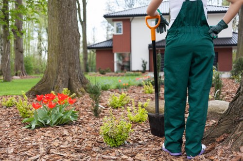 Eco-friendly garden features by Rotherhithe professionals